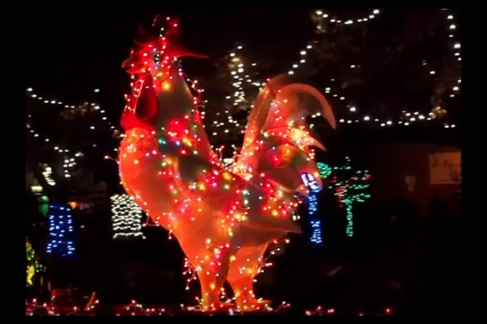 Fruita Parade of Lights and Tree Lighting December 14th