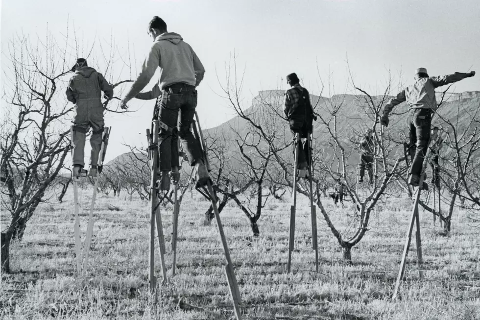 Western Colorado Farmers & Growers of Yesterday – Bob Grant Photos
