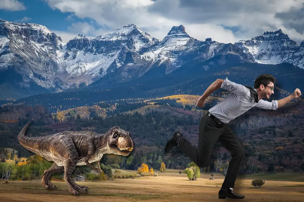 Lost Dinosaur Found In Colorado? Maybe