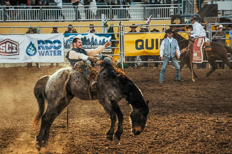 The Best Summer Rodeos Across Colorado in 2026
