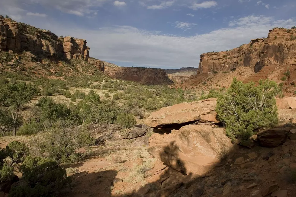 See The Scenic Trails and Petroglyphs of Dominguez Canyon