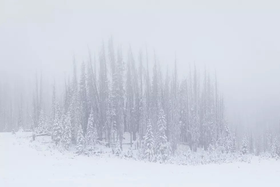 From Red Flags to Snowstorms: Western Colorado’s Wild 48-Hour Weather U-Turn