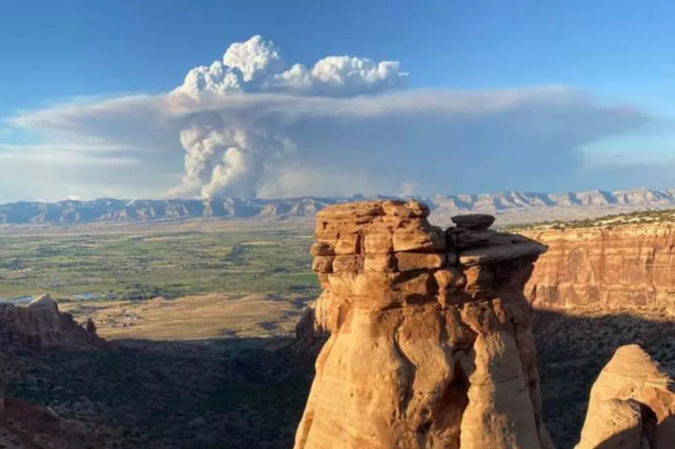 Colorado Still Feels the Pine Gulch Fire 5 Years Later