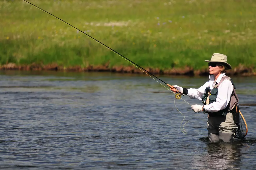 Colorado Fisherwoman Breaks Two World Records With Rainbow Trout